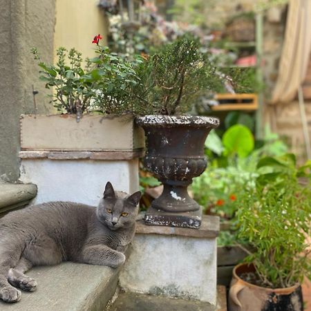 La Magione Dei Todaro Borgo a Buggiano Εξωτερικό φωτογραφία